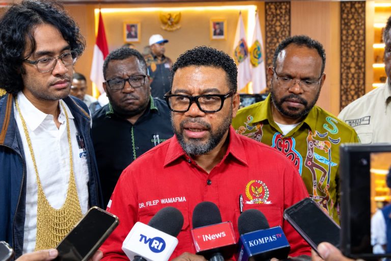 Pansus Papua DPD RI Minta Presiden Ambil Langkah Tegas Lindungi Warga Sipil